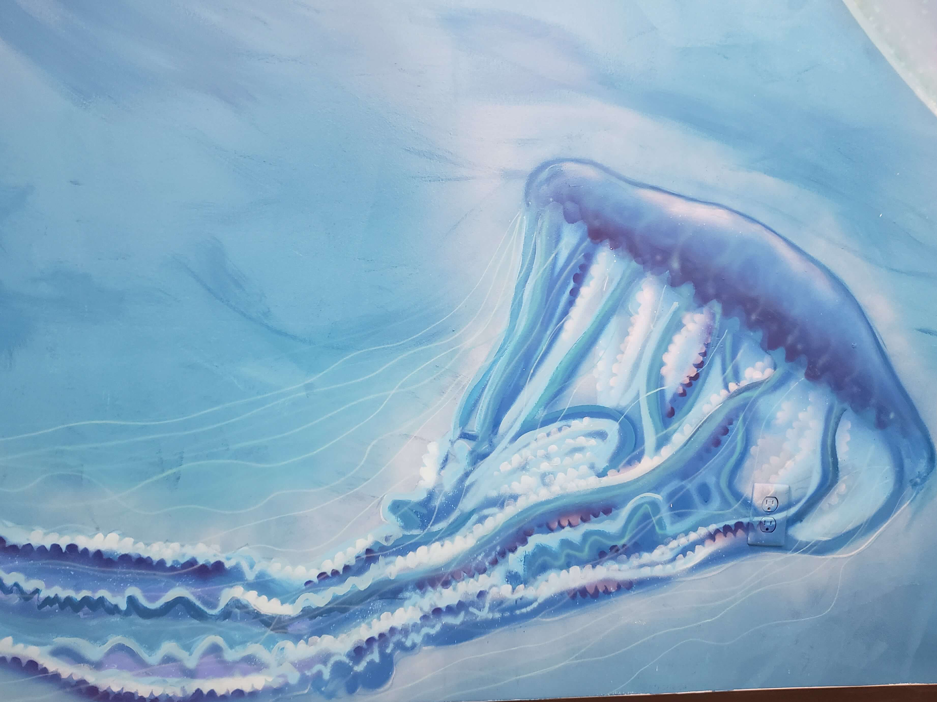 Drake Arnold Mural at Mote Marine Laboratory and aquarium
